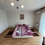 Hadzic 아파트 *