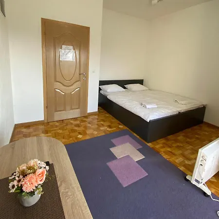 Apartment Hadzic *