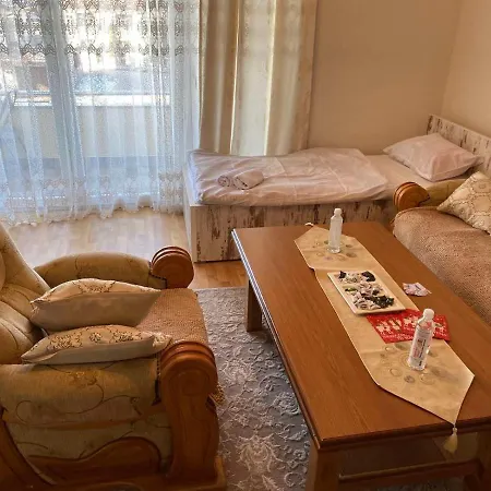 Hadzic Apartment