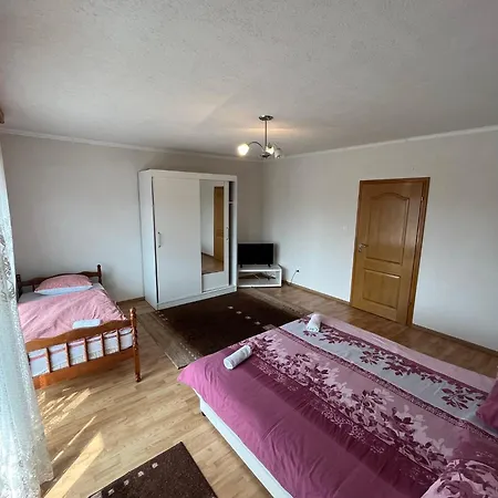 Apartment Hadzic Zivinice