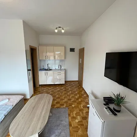 Hadzic Zivinice
